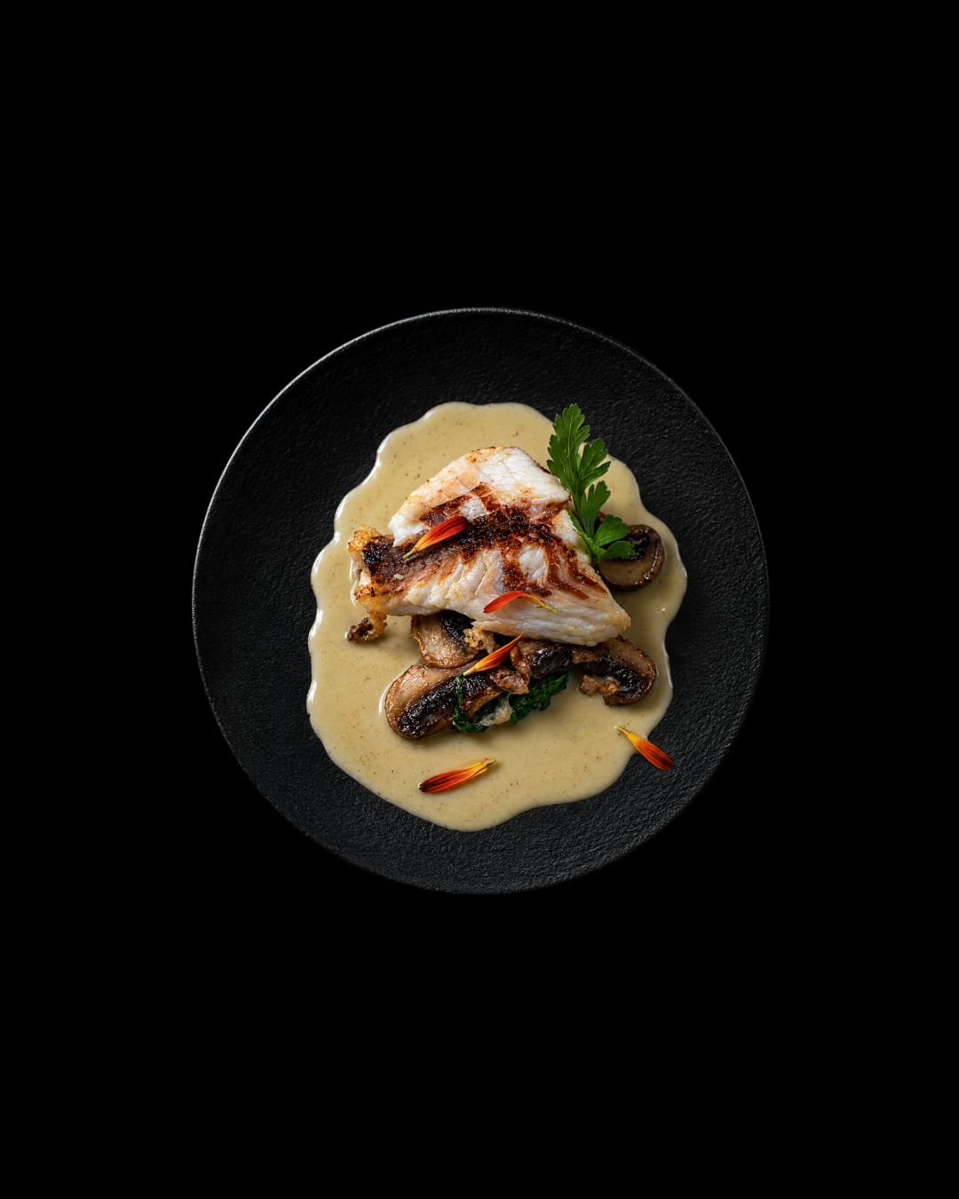 Paso 6 - Filet de corvina con espinaca y champiñones con crema bechamel